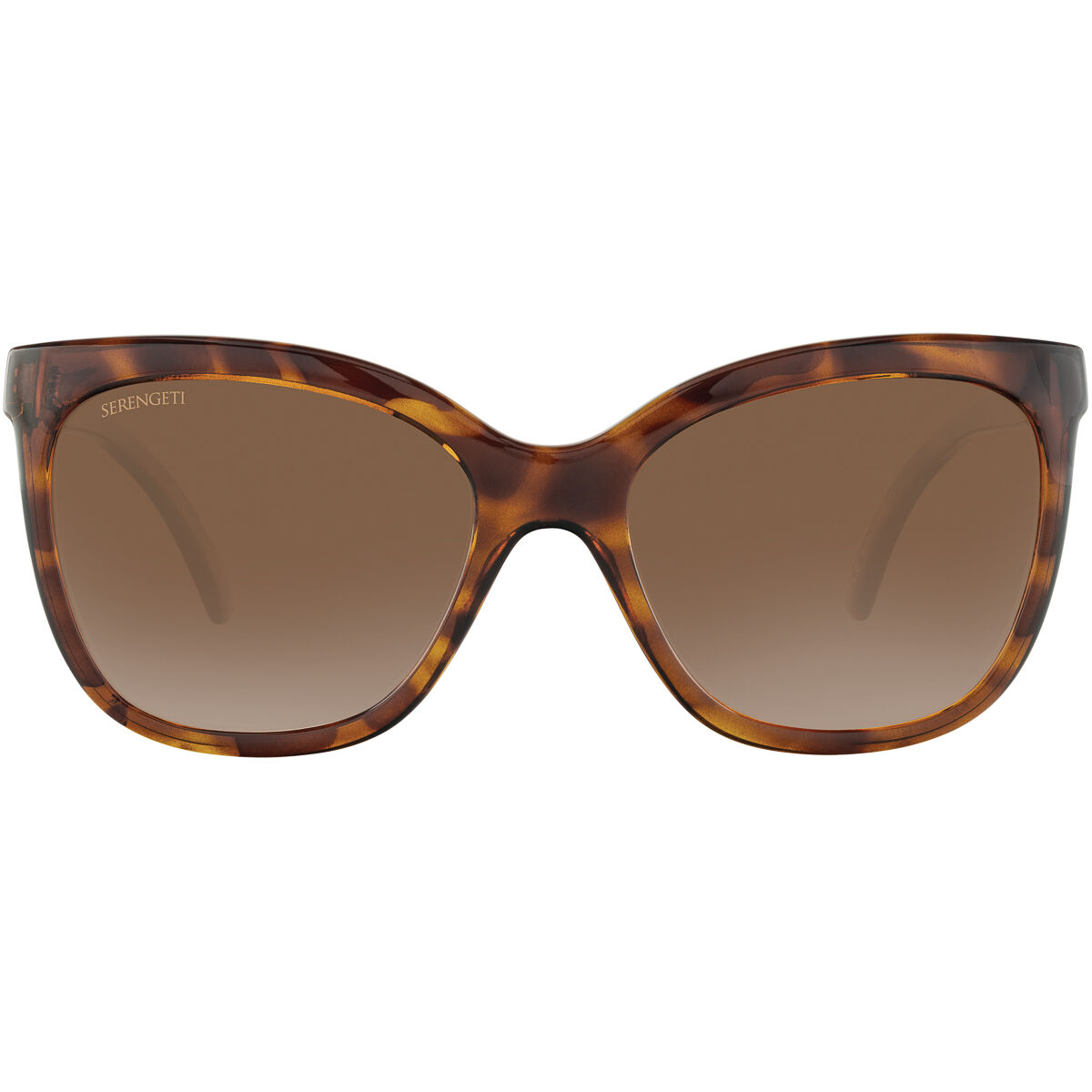 AGATA, Classic Tortoise-Mineral Polarized Drivers Gradient Cat 2 to 3, hi-res image number null